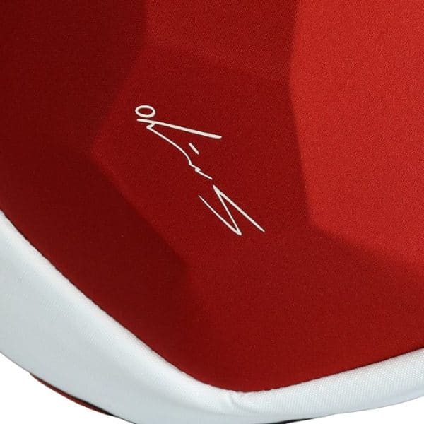 Firma Sanyo paletero Siux