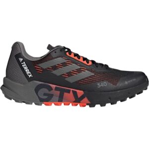 Zapatillas Adidas Terrex Agravic Flow 2 GTX