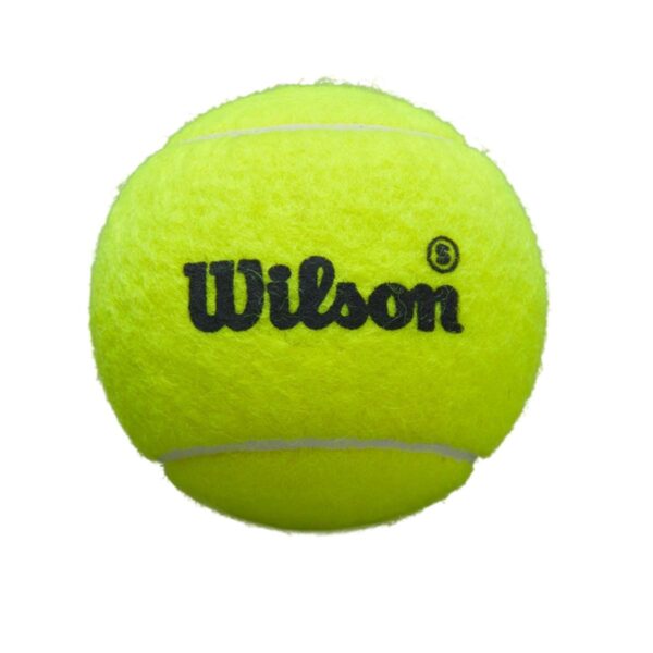 Pelotas Wilson Premier Padel Speed